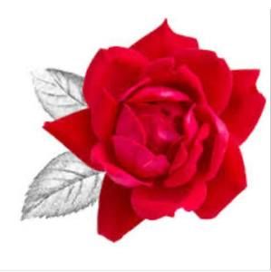 Meet your Posher, Safaa